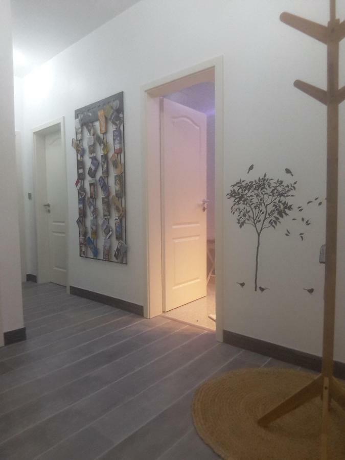 Chez Moera -Sur La Route Des Vins - Kaysersberg Apartamento Exterior foto